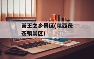 茶王之乡景区(陕西茯茶镇景区)