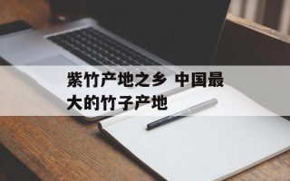 紫竹产地之乡 中国最大的竹子产地