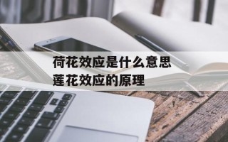 荷花效应是什么意思 莲花效应的原理