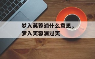 梦入芙蓉浦什么意思，梦入芙蓉浦过芙