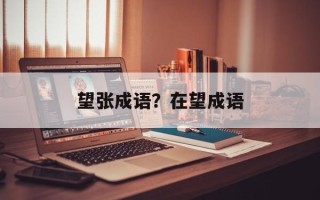 望张成语？在望成语