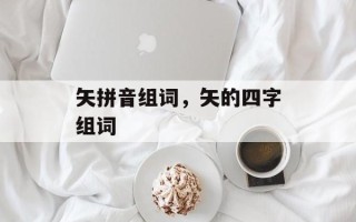 矢拼音组词，矢的四字组词