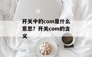 开关中的com是什么意思？开关com的含义