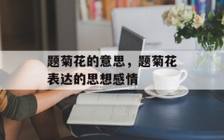 题菊花的意思，题菊花表达的思想感情