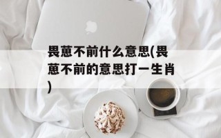 畏葸不前什么意思(畏葸不前的意思打一生肖)