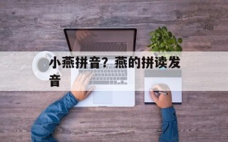 小燕拼音？燕的拼读发音