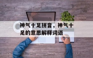 神气十足拼音，神气十足的意思解释词语