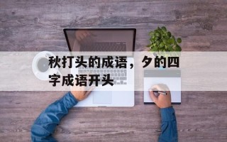 秋打头的成语，夕的四字成语开头