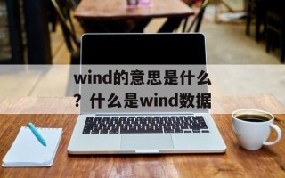 wind的意思是什么？什么是wind数据