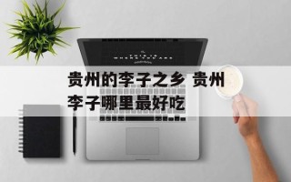 贵州的李子之乡 贵州李子哪里最好吃