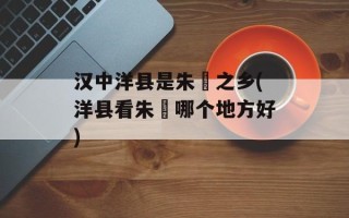 汉中洋县是朱鹮之乡(洋县看朱鹮哪个地方好)