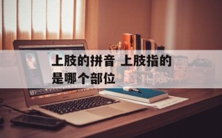 上肢的拼音 上肢指的是哪个部位
