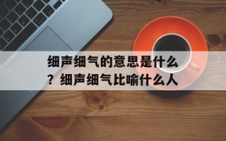 细声细气的意思是什么？细声细气比喻什么人