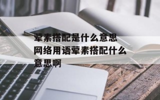 荤素搭配是什么意思 网络用语荤素搭配什么意思啊