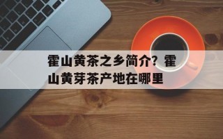 霍山黄茶之乡简介？霍山黄芽茶产地在哪里