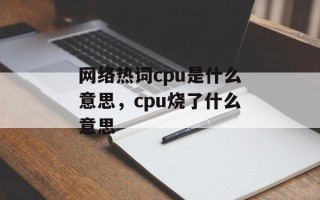 网络热词cpu是什么意思，cpu烧了什么意思