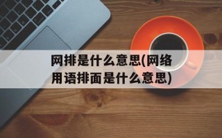 网排是什么意思(网络用语排面是什么意思)