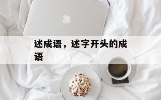 述成语，述字开头的成语