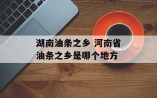湖南油条之乡 河南省油条之乡是哪个地方