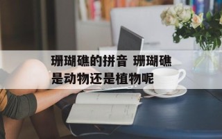 珊瑚礁的拼音 珊瑚礁是动物还是植物呢