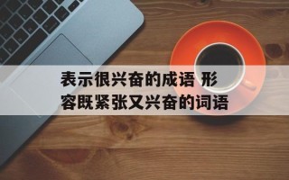 表示很兴奋的成语 形容既紧张又兴奋的词语