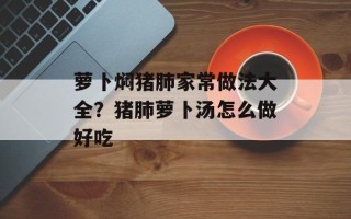 萝卜焖猪肺家常做法大全？猪肺萝卜汤怎么做好吃
