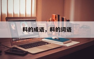 料的成语，料的词语