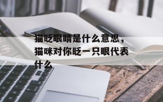 猫眨眼睛是什么意思，猫咪对你眨一只眼代表什么