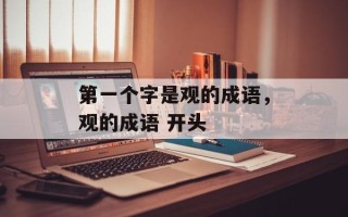 第一个字是观的成语，观的成语 开头