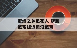 蜜蜂之乡追花人 梦到被蜜蜂追但没被蛰