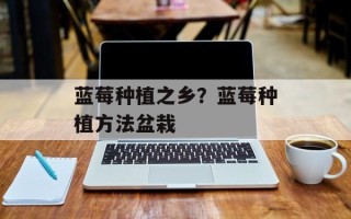 蓝莓种植之乡？蓝莓种植方法盆栽