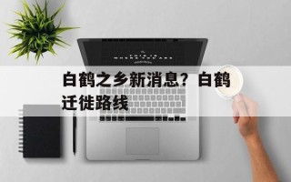 白鹤之乡新消息？白鹤迁徙路线