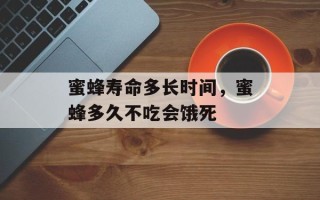 蜜蜂寿命多长时间，蜜蜂多久不吃会饿死