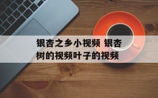 银杏之乡小视频 银杏树的视频叶子的视频