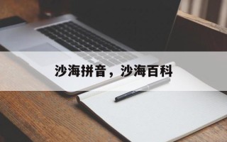 沙海拼音，沙海百科
