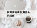 树开头的成语(男开头的成语)