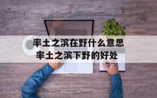 率土之滨在野什么意思 率土之滨下野的好处