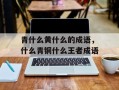 青什么黄什么的成语，什么青铜什么王者成语