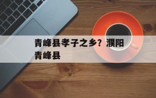 青峰县孝子之乡？濮阳青峰县