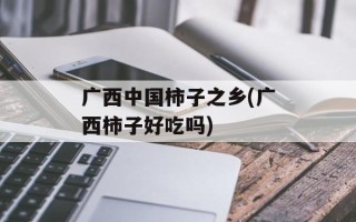 广西中国柿子之乡(广西柿子好吃吗)