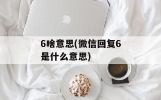 6啥意思(微信回复6是什么意思)