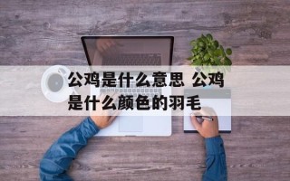 公鸡是什么意思 公鸡是什么颜色的羽毛