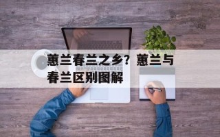 蕙兰春兰之乡？蕙兰与春兰区别图解