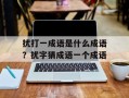 扰打一成语是什么成语？扰字猜成语一个成语
