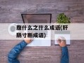 腹什么之什么成语(肝肠寸断成语)