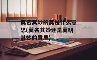 莫名其妙的莫是什么意思(莫名其妙还是莫明其妙的意思)