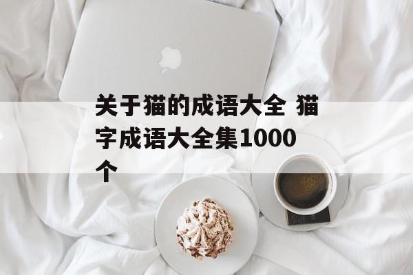 关于猫的成语大全 猫字成语大全集1000个-第1张图片-