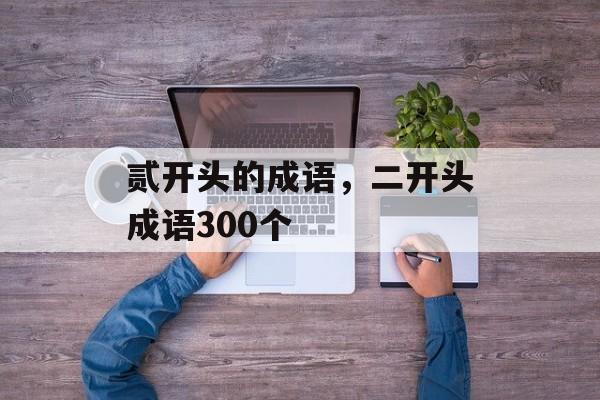 贰开头的成语，二开头成语300个-第1张图片-