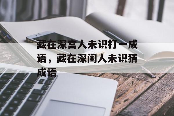 藏在深宫人未识打一成语，藏在深闺人未识猜成语-第1张图片-
