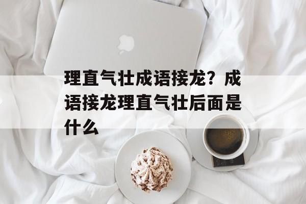 理直气壮成语接龙？成语接龙理直气壮后面是什么-第1张图片-